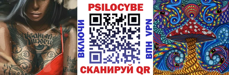 Псилоцибиновые грибы Psilocybe  Купить закладки  Рудня 
